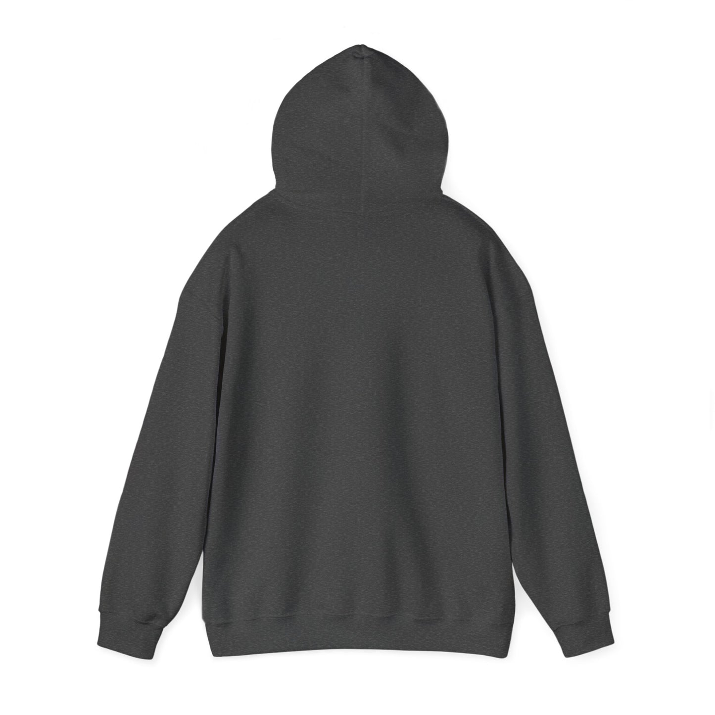 (AUS/NZ) Read at Your Own Risk Hoodie