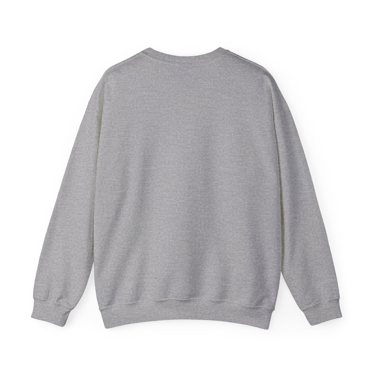 Ombre RAYOR Crewneck Sweatshirt