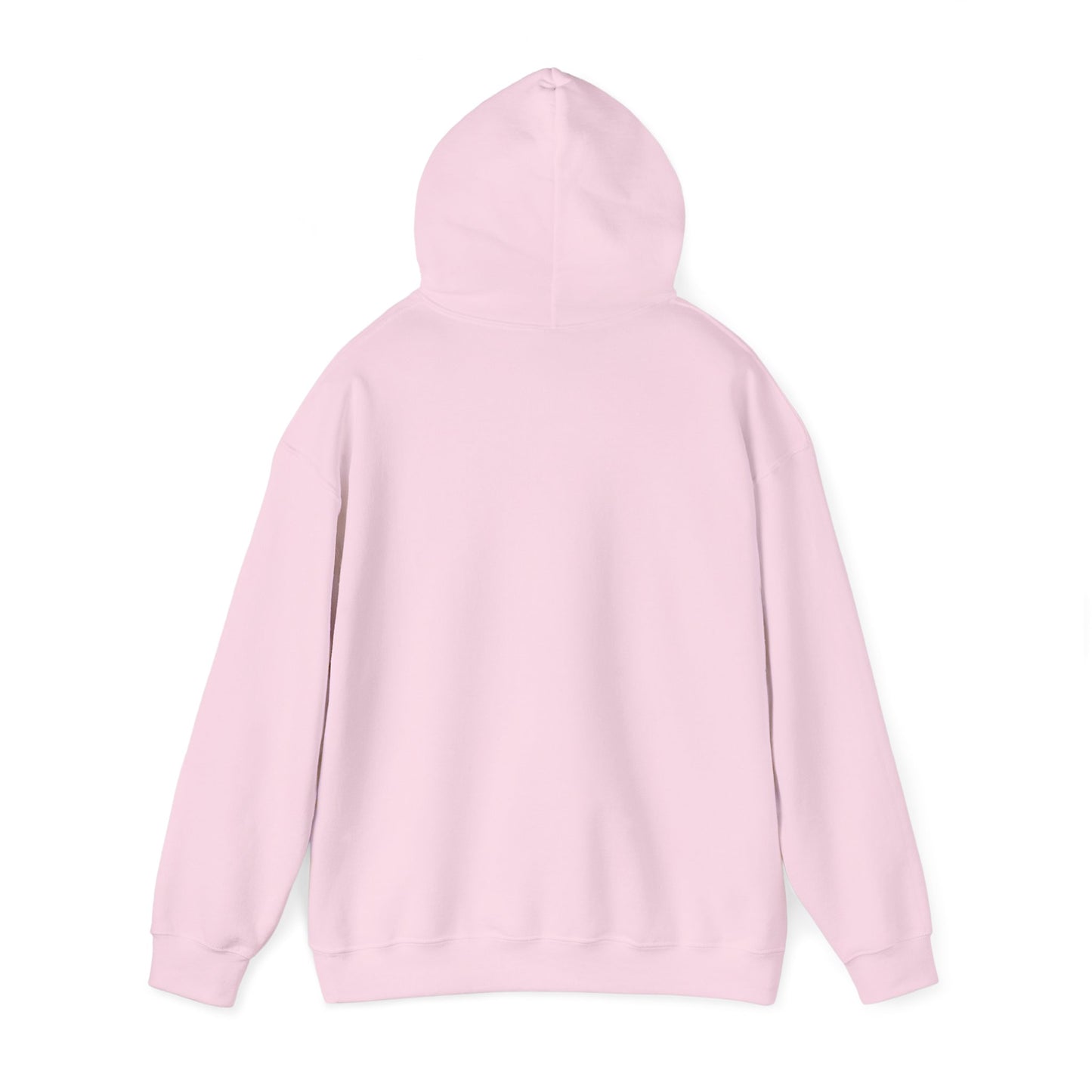 (AUS/NZ) Read at Your Own Risk Hoodie