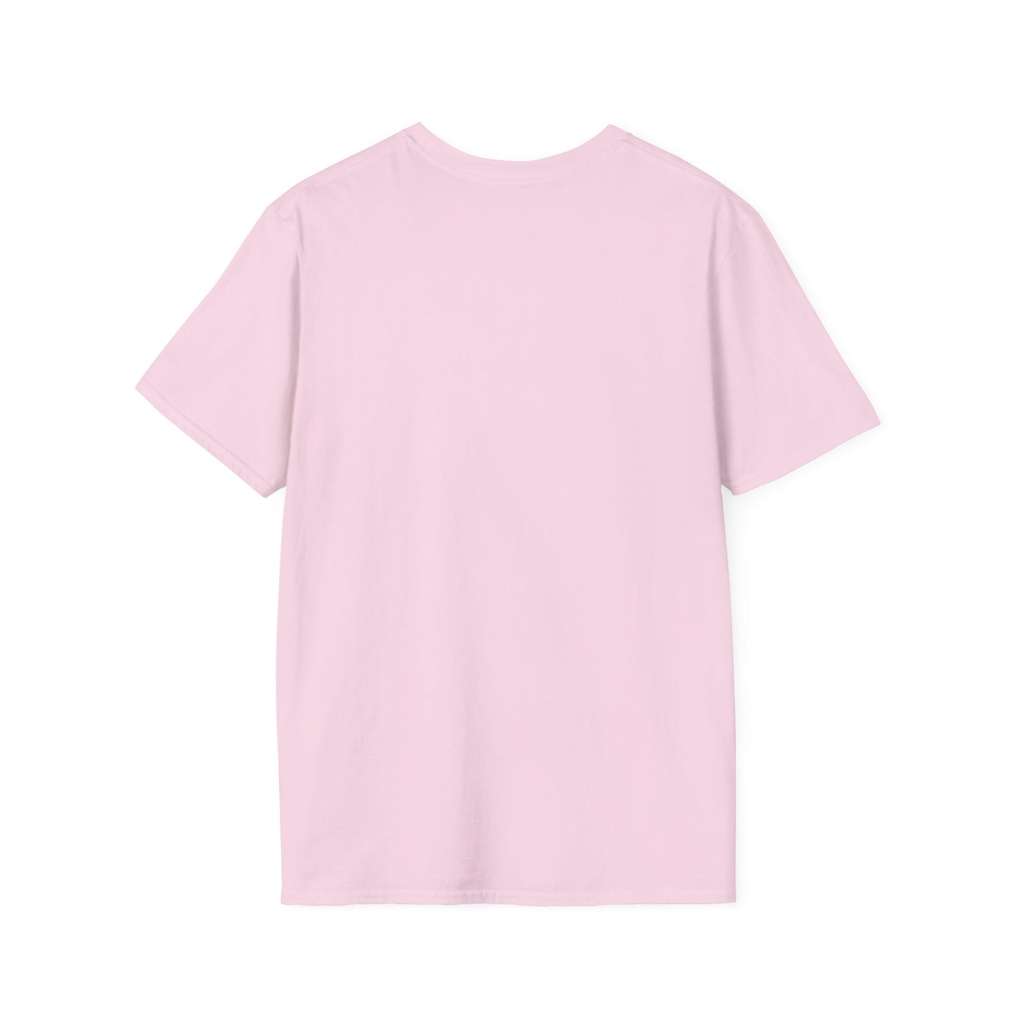 Ombré RAYOR Unisex Tee